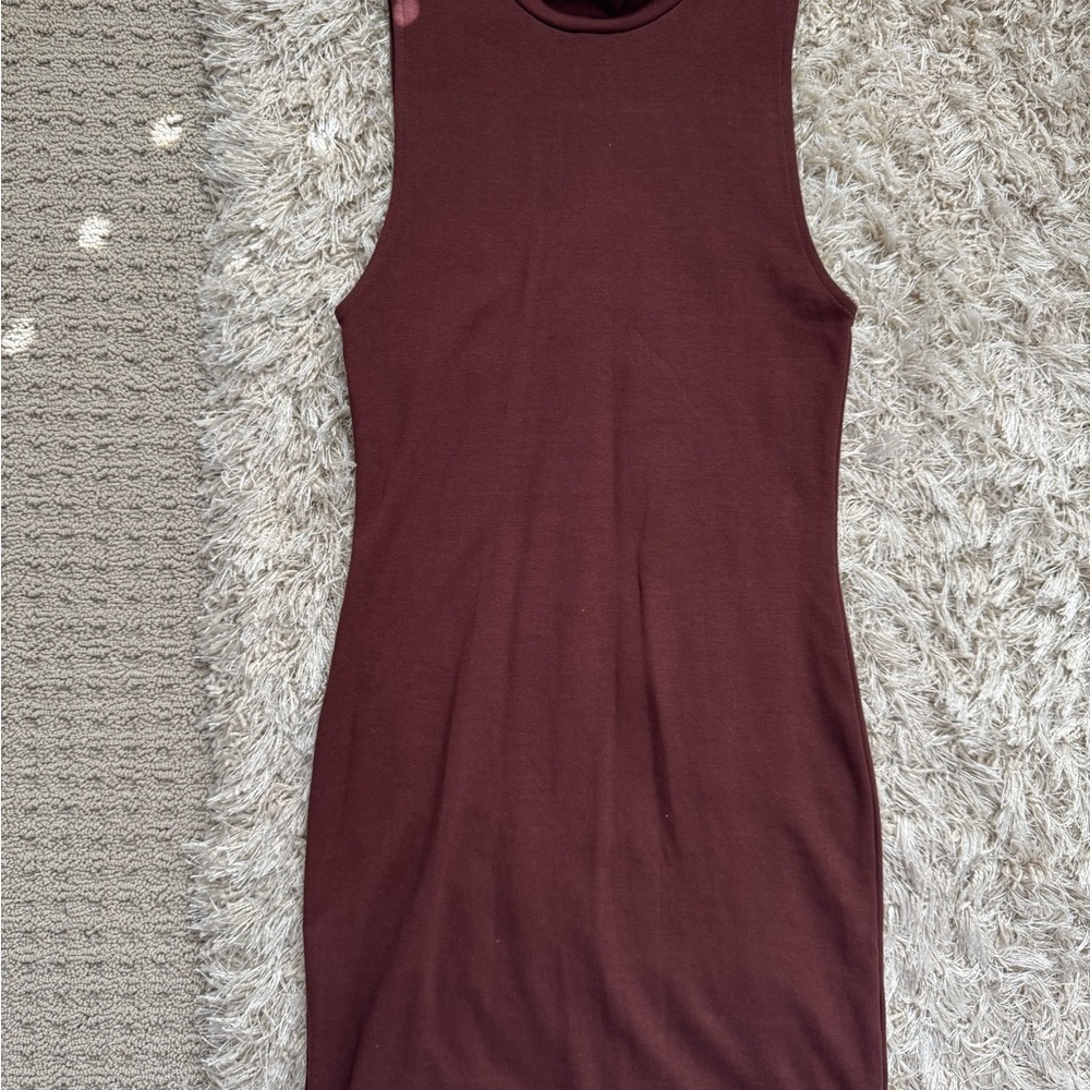 Zara Brown Sleeveless Turtleneck Dress
